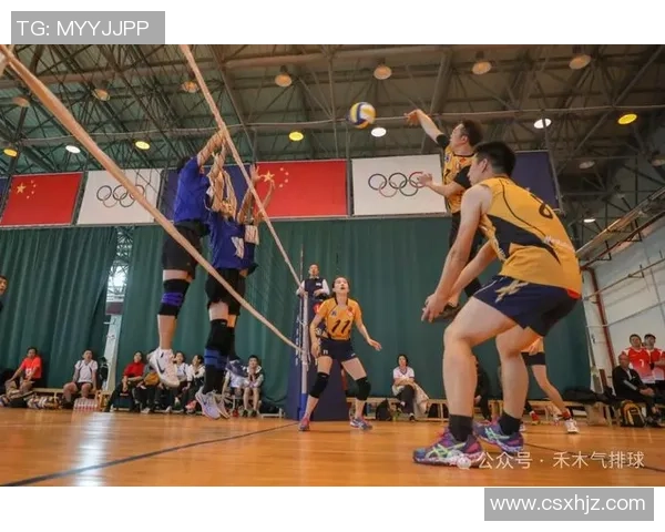 排球新手必读:提升场上意识的实用技巧与策略分享 排球新手必读:提升场上意识的实用技巧与策略分享