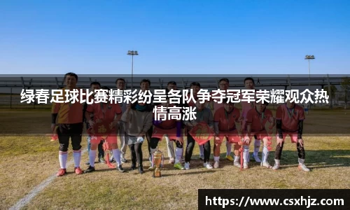 绿春足球比赛精彩纷呈各队争夺冠军荣耀观众热情高涨